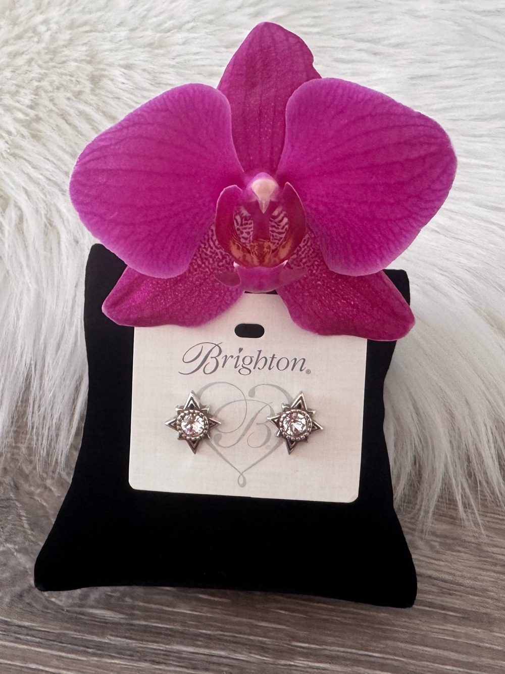 😇 BRIGHTON Retired Halo Swing Post Earrings